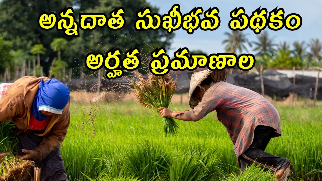 Annadata Sukhibhava Eligibility Criteria 2025
