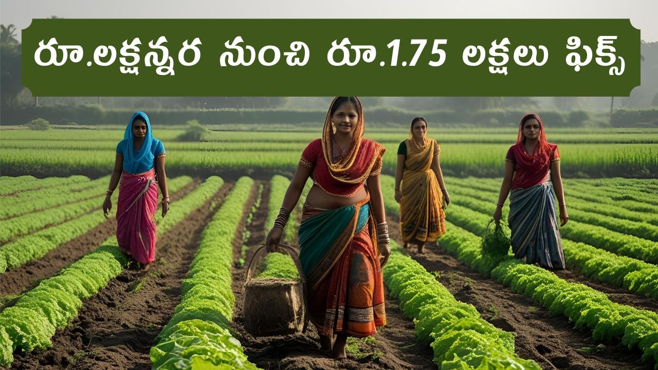 Ap Farmers Crop Loan Increase 2025