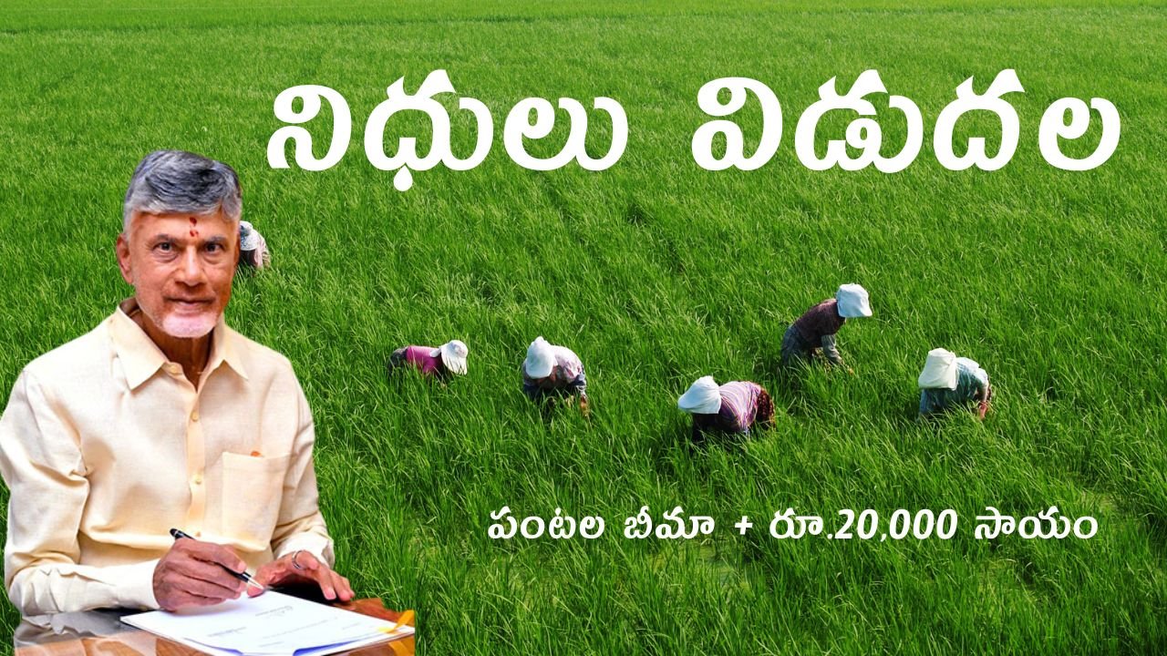 Ap Farmers Money Release 2025