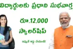 NSP Scholarship Scheme 2025