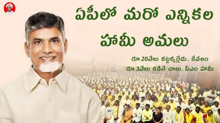 AP election promises implementation
