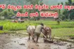 Loan Scheme 2025