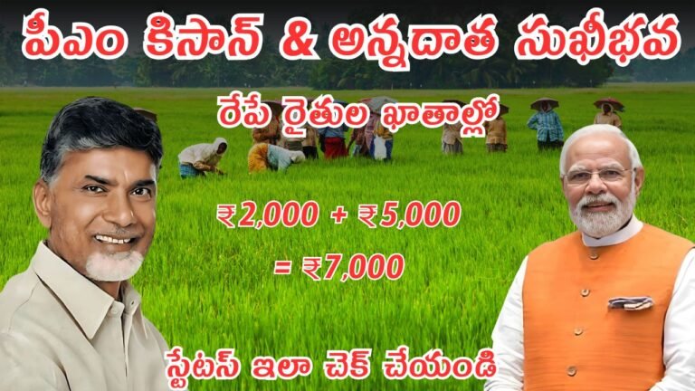 Pm Kisan Annadata Sukhibhava Payment Status Check